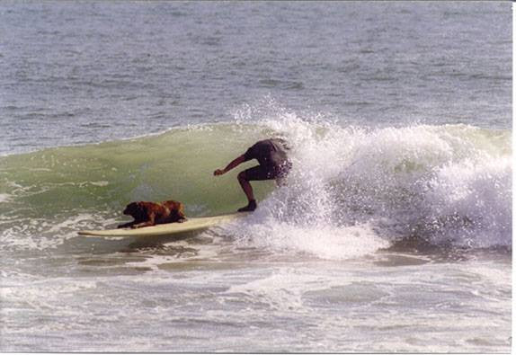 Ventura Legacies Featuring Surf History in Ventura