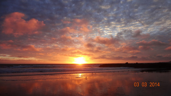 Surfing Championships 2017